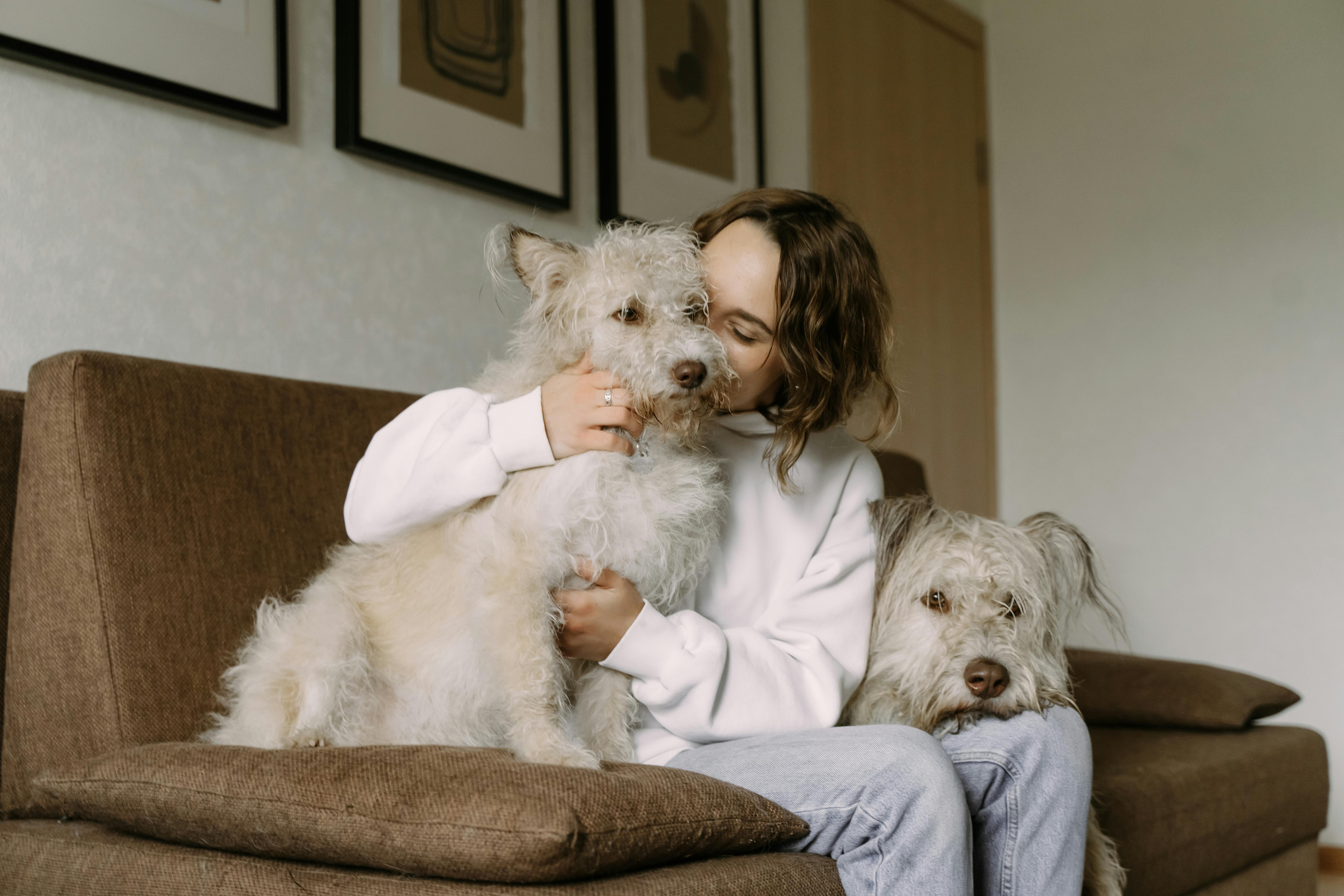 A woman lovingly cuddling two fluffy white dogs on a cozy couch